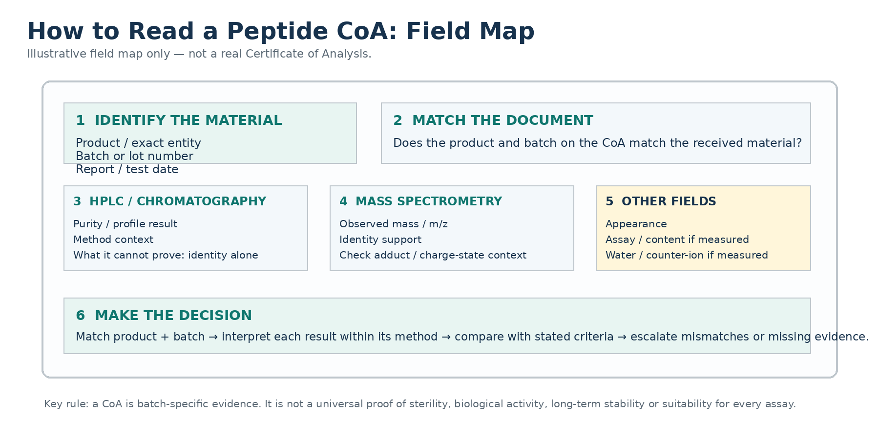 Illustrative field map showing how to read a peptide Certificate of Analysis by matching the batch, HPLC result, mass spectrometry and supporting fields.