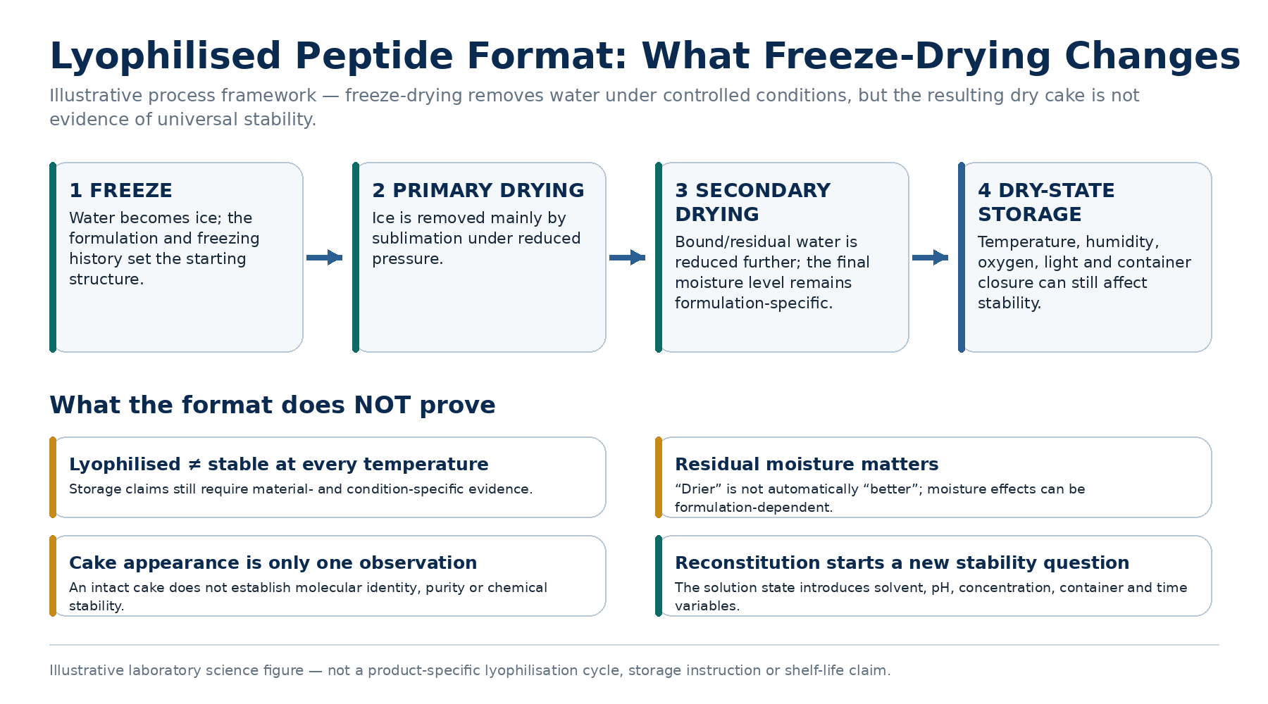 Freeze-drying process framework for lyophilised research peptides showing freezing, primary drying, secondary drying, dry-state storage and evidence limitations.
